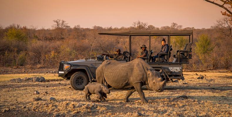 Black Rhino Experience & Game drives 