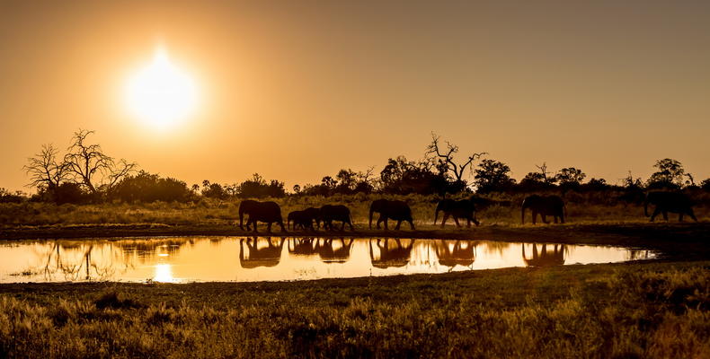 Qorokwe Camp