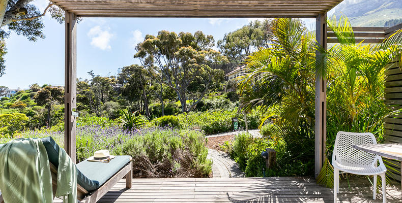 Nature Pool Studio Terrace