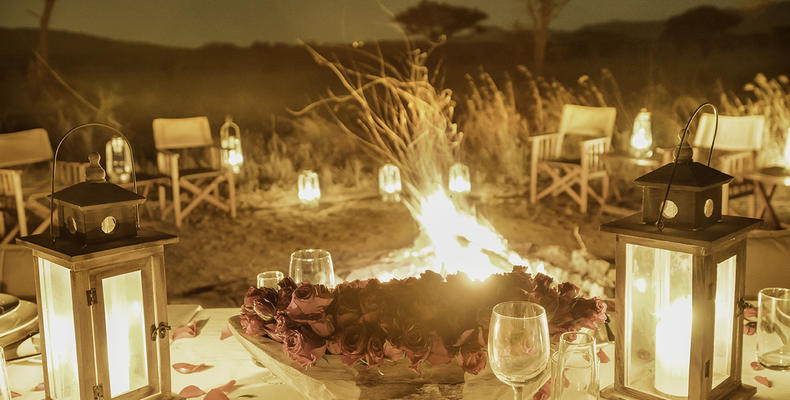 Romantic Bush Dinner