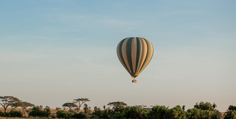 Breathtaking Balloon Adventure Over the Wild