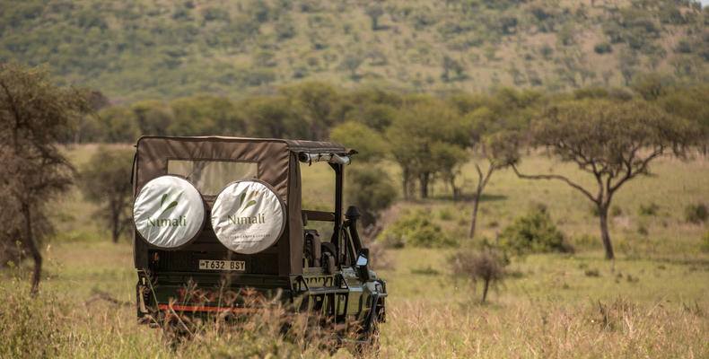 Game drives 