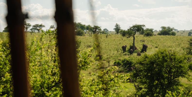 Elewana Serengeti Migration Camp
