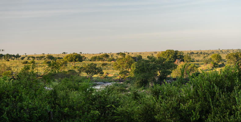 Elewana Serengeti Migration Camp