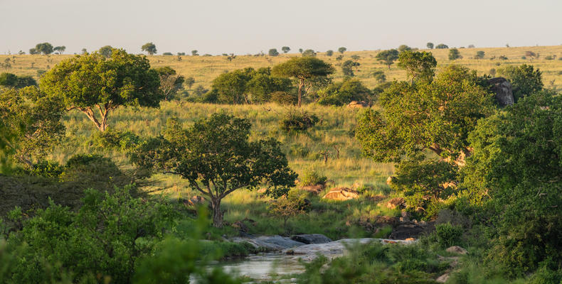 Elewana Serengeti Migration Camp
