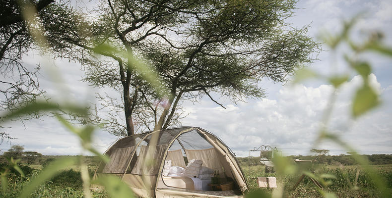 Wayo Trekking Camp