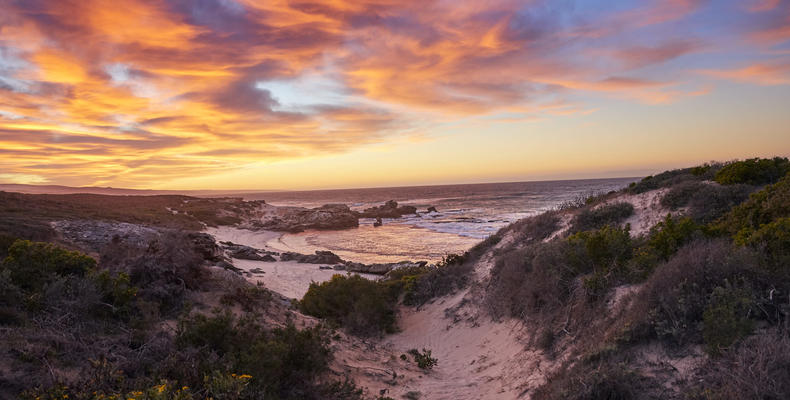 Morukuru Beach Lodge - beach at sunrise