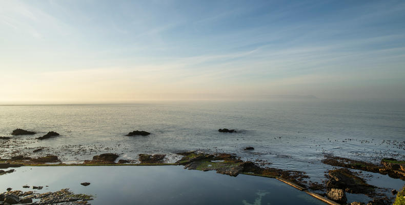 Tidal Pool 