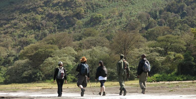 Trekking