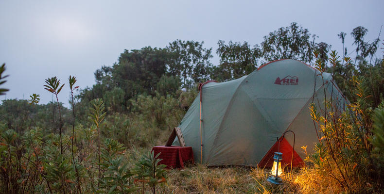 Tent in the early hours of the morning 