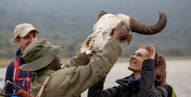 Buffalo Skull