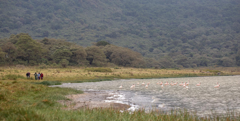 Flamingos inside Empakai Crater 