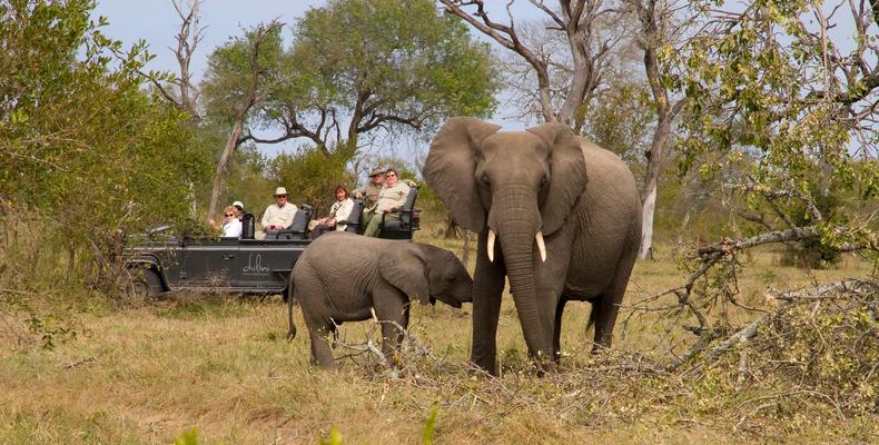 Dulini - Game Drives