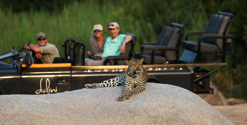 Dulini - Game Drives