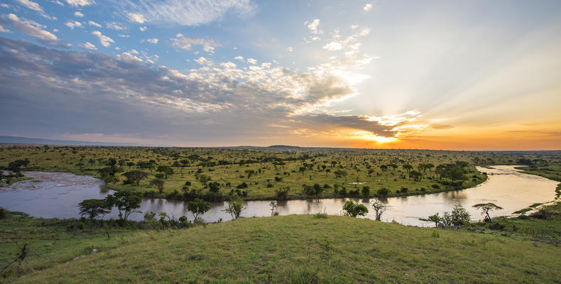 Sunset View
