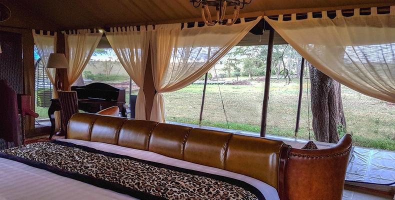 Tent Room
