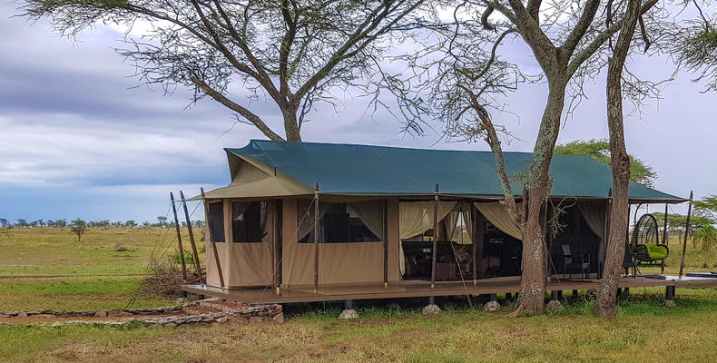 Camp Area 