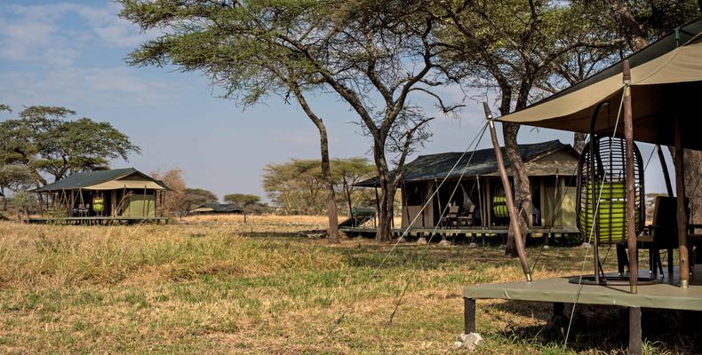 Camp Area