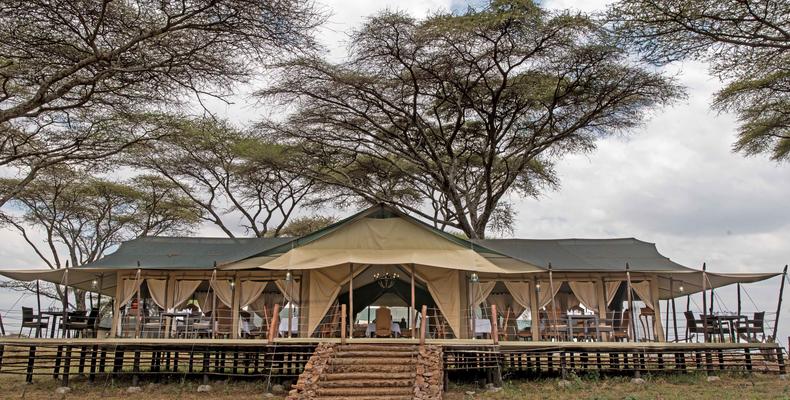 Camp Area