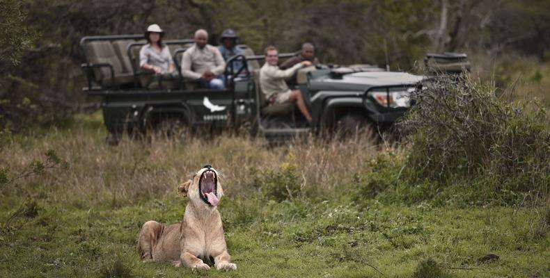 Phinda Mountain Lodge 