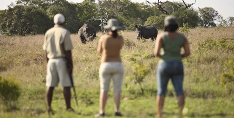 Phinda Mountain Lodge 