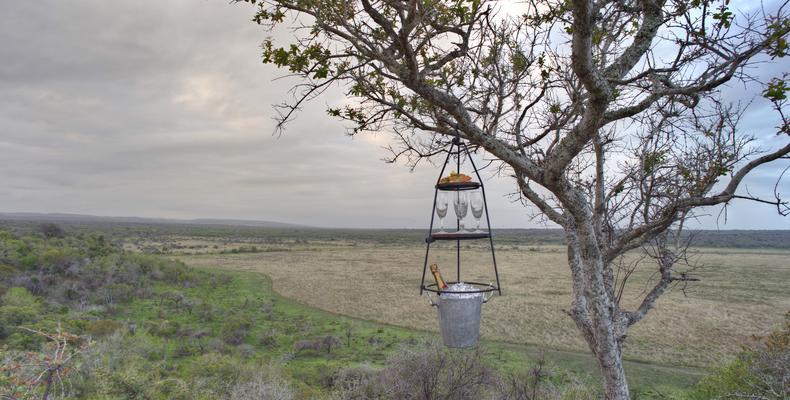 Phinda Mountain Lodge 