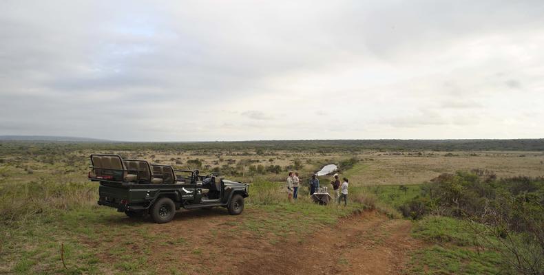 Phinda Mountain Lodge 