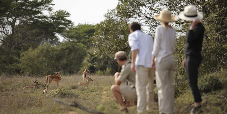 Phinda Mountain Lodge 