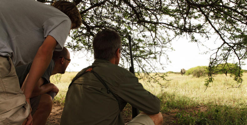 Phinda Mountain Lodge 