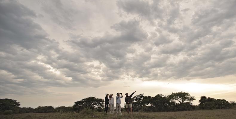 andBeyond Phinda Vlei Lodge
