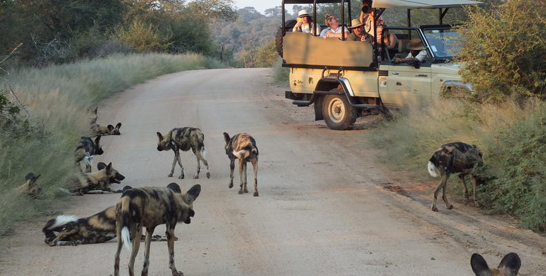 Rhino Post Safari Lodge - Game Drives