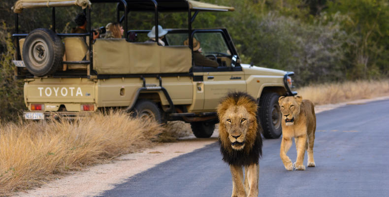 Rhino Post Safari Lodge - Game Drives