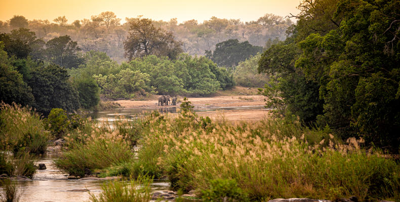 Rhino Post Safari Lodge - Kruger - Wildlife