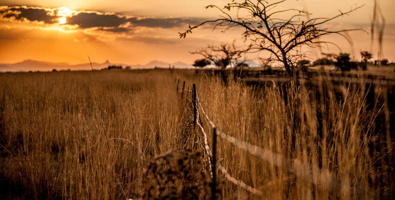 Farm Fence