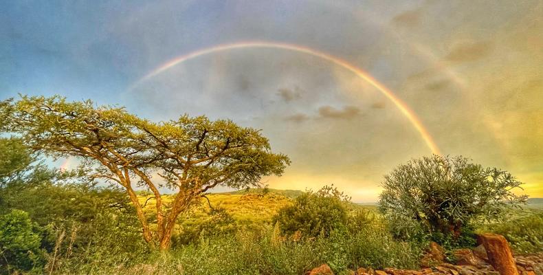 Rainbows at Sunset