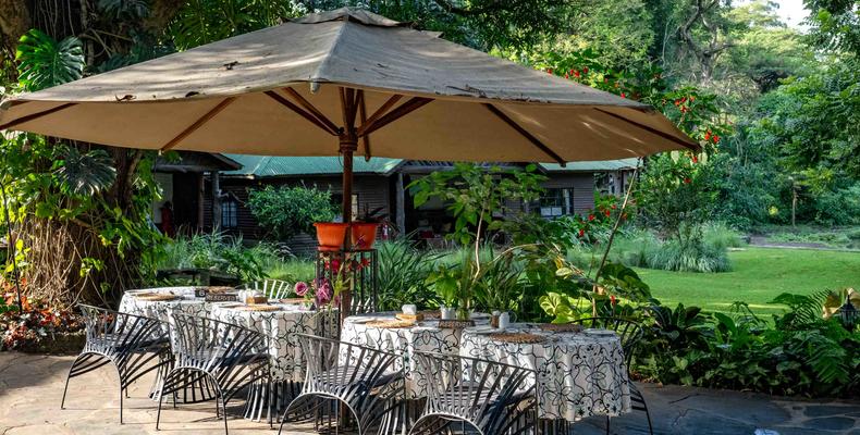 Alfresco dining
