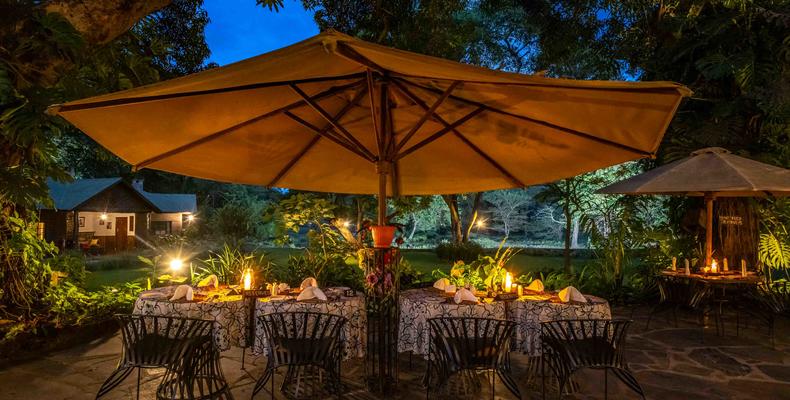 Outdoor dining by night