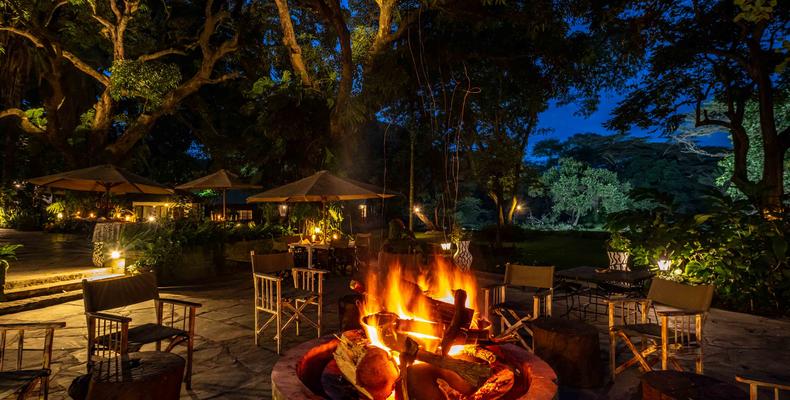 Evening log fire