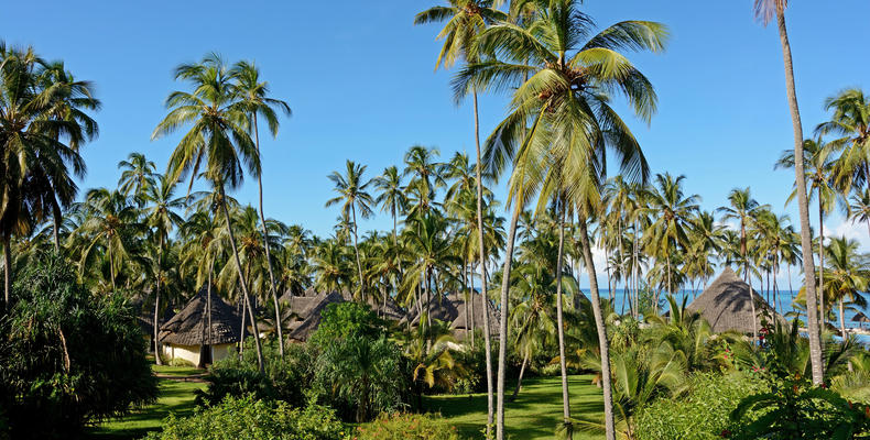 Gardens 