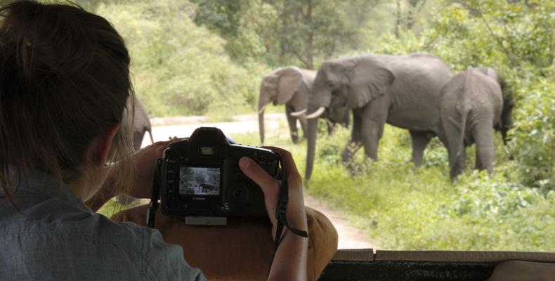 andBeyond Lake Manyara Tree Lodge