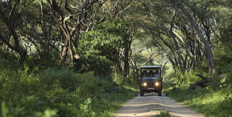 andBeyond Lake Manyara Tree Lodge