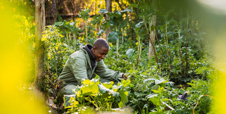 Organic Garden Tour