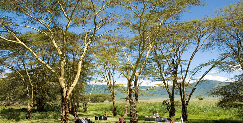 Ngorongoro Crater Lodge