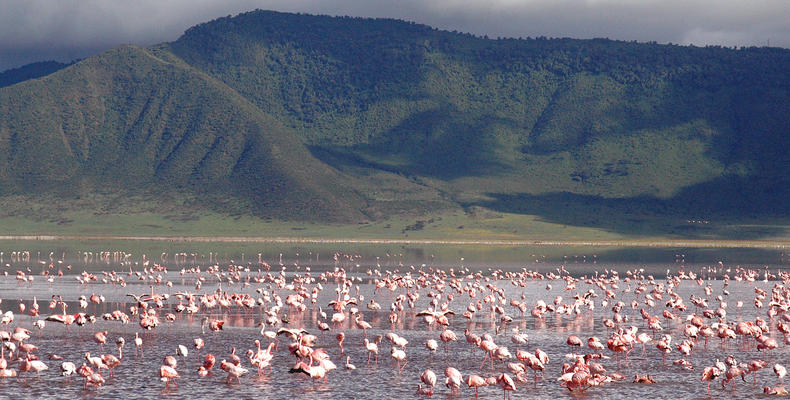 Ngorongoro Crater Lodge