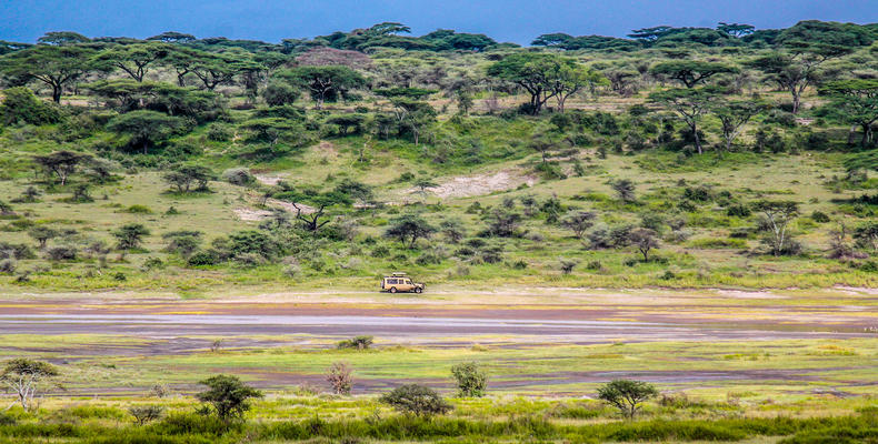 Ndutu Plains 