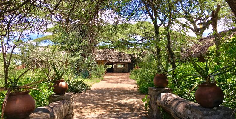 Arrival at Ndutu Safari Lodge