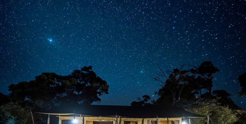 Standard Tent at night