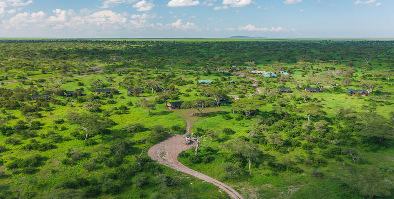 Aerial View of the Camp