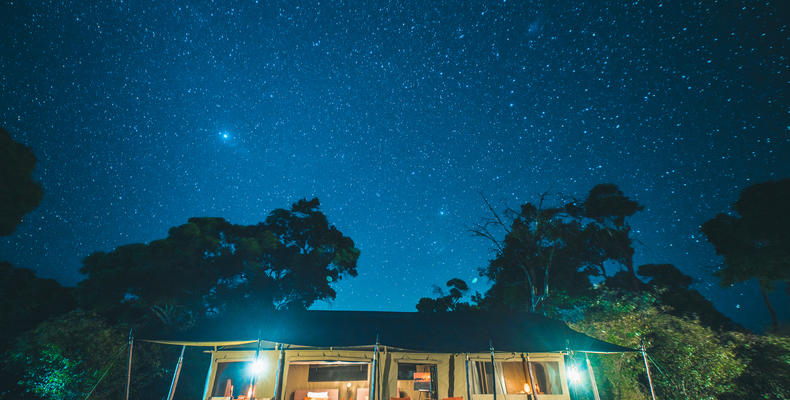 Standard Tent at night