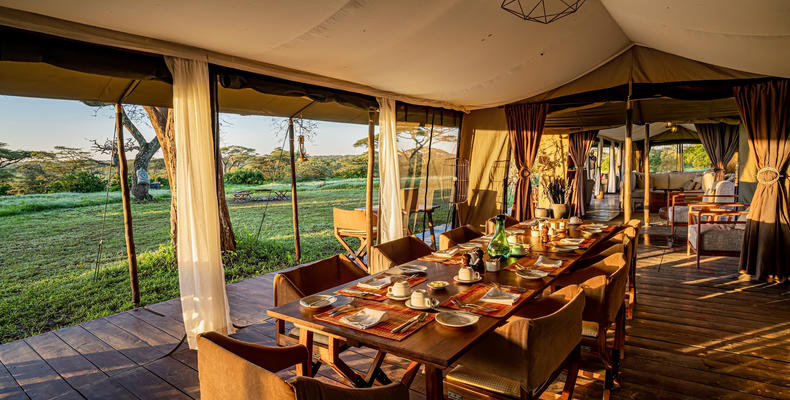 Main Area - Dining